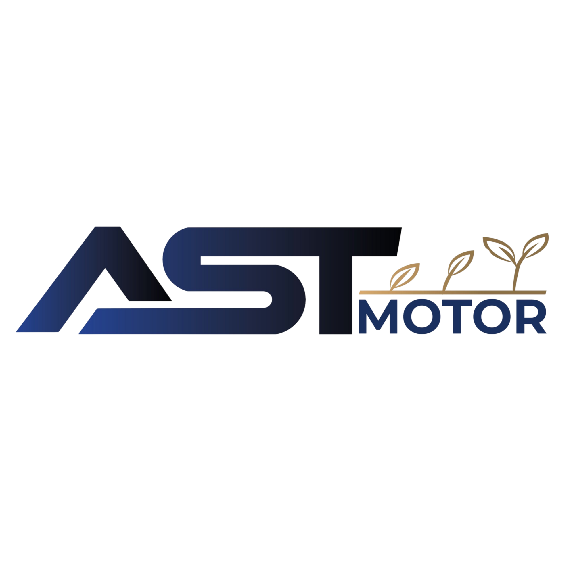 astmotor